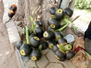 phonsavan (74)